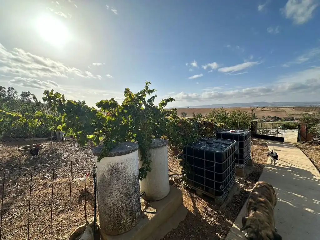 Vista exterior de Casa o xalet en venda en Magacela amb Jardí privat, Terrassa i Piscina
