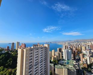 Vista exterior de Apartament en venda en Benidorm amb Terrassa i Piscina comunitària