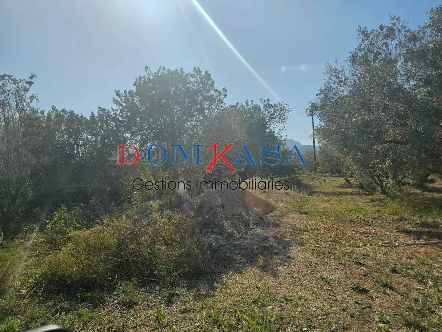 Rural land for sale in Roquetes, imagen 16