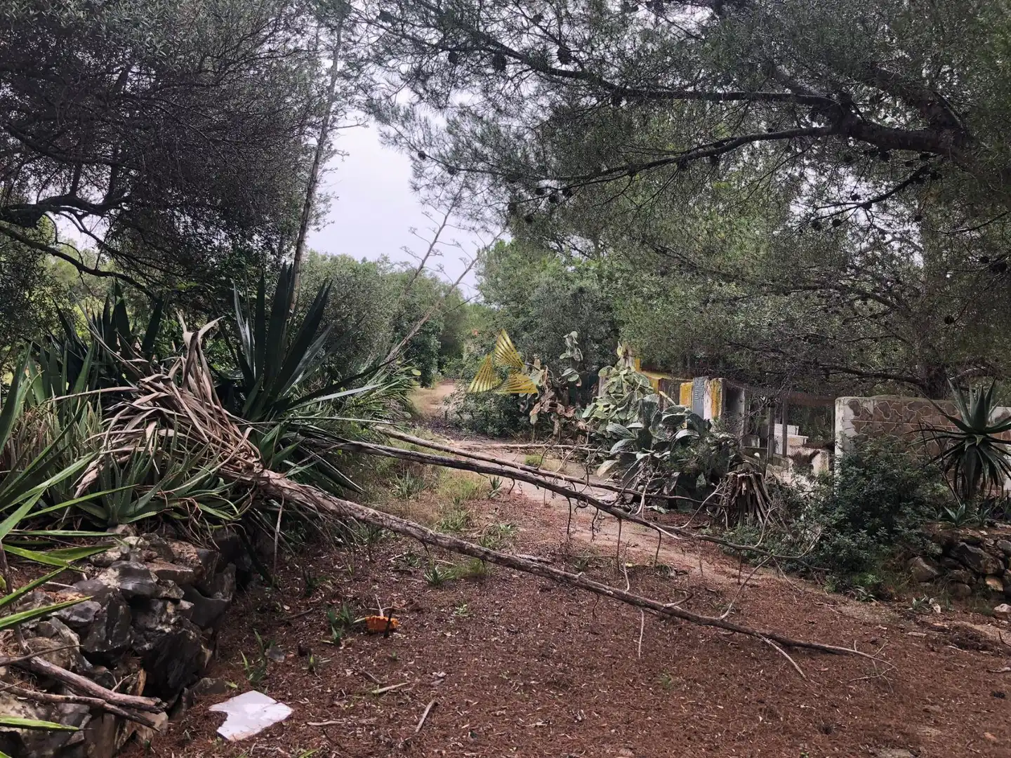Lands and plots for sale in Las Atalayas - Urmi - Cerro de Mar, imagen 19
