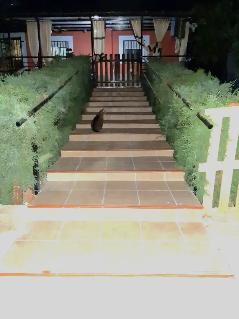 Houses for sale in Logrosán  with Private garden, Terrace and Swimming Pool