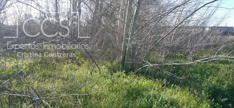 Terreni e lotti in vendita a Almonte ciudad, imagen 14