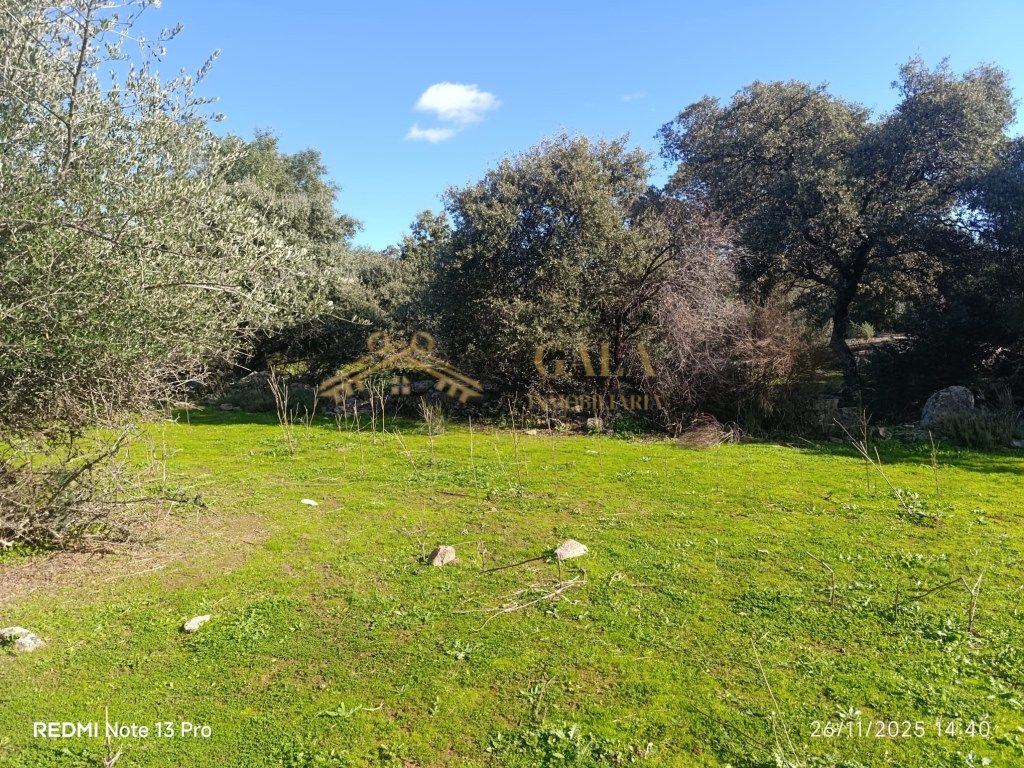 Casa o xalet en venda en Montánchez