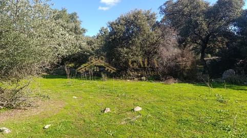 Photo 3 of House or chalet for sale in Montánchez, Cáceres