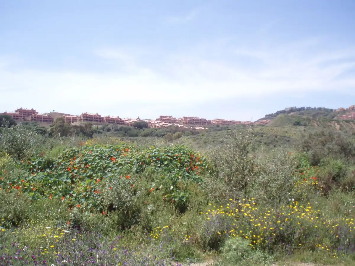 Vista exterior de Residencial en venda en Mijas