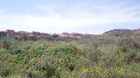 Foto 3 de Residencial en venda a La Cala Mijas, Mijas