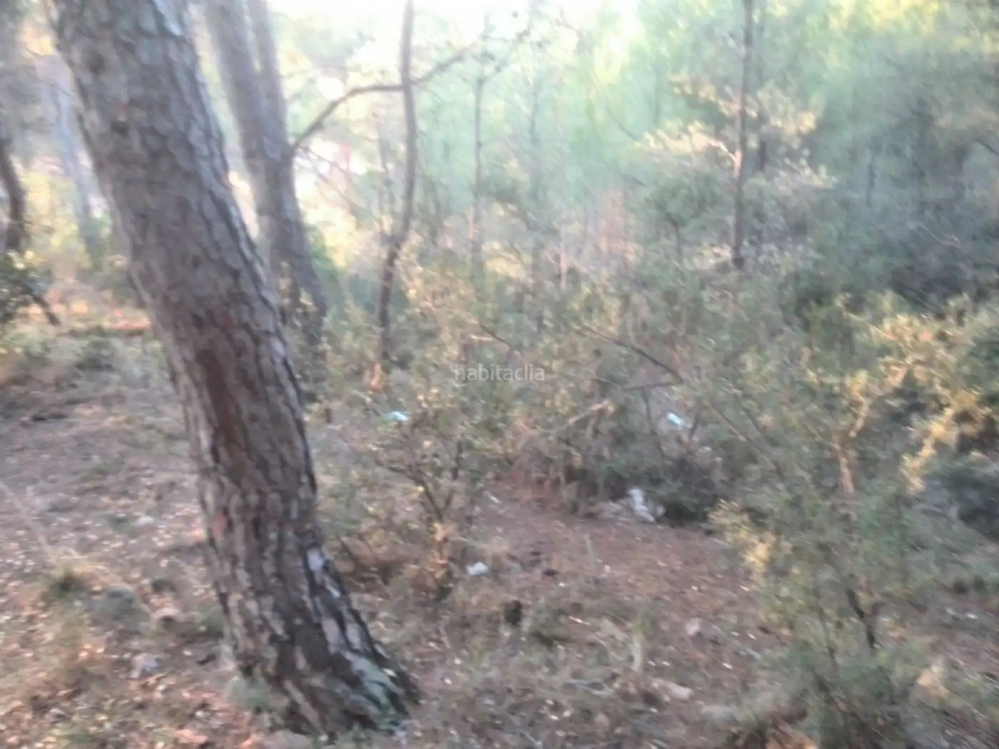 Terreny rústic en venda a Plaça Poligono 11 316, imagen 4