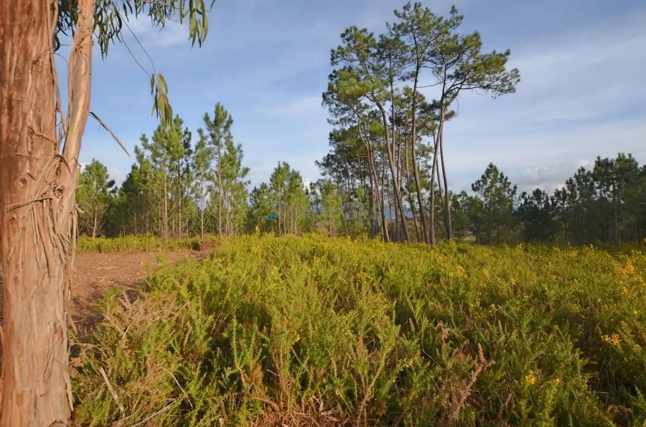 Terreno rustico in vendita a CARREGAL ABAIXO, imagen 8