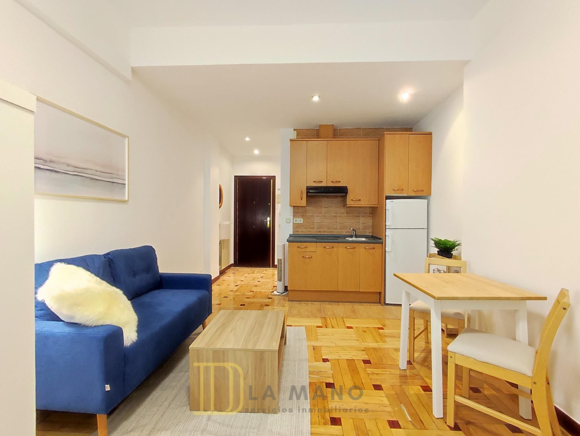 Sala d'estar de Estudi de lloguer en  Madrid Capital amb Aire condicionat, Parquet i Moblat