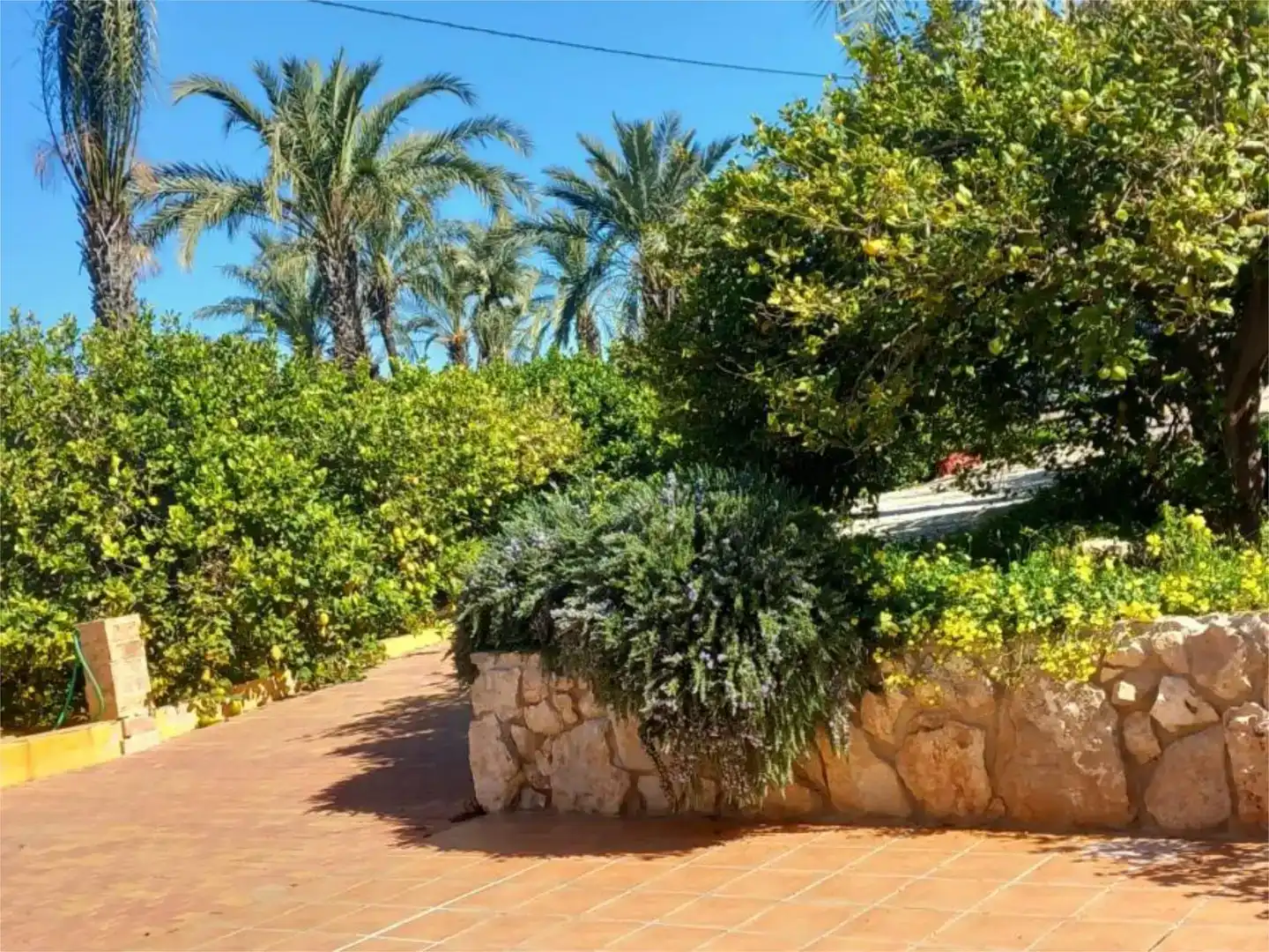 Jardí de Finca rústica en venda en  Murcia Capital amb Aire condicionat