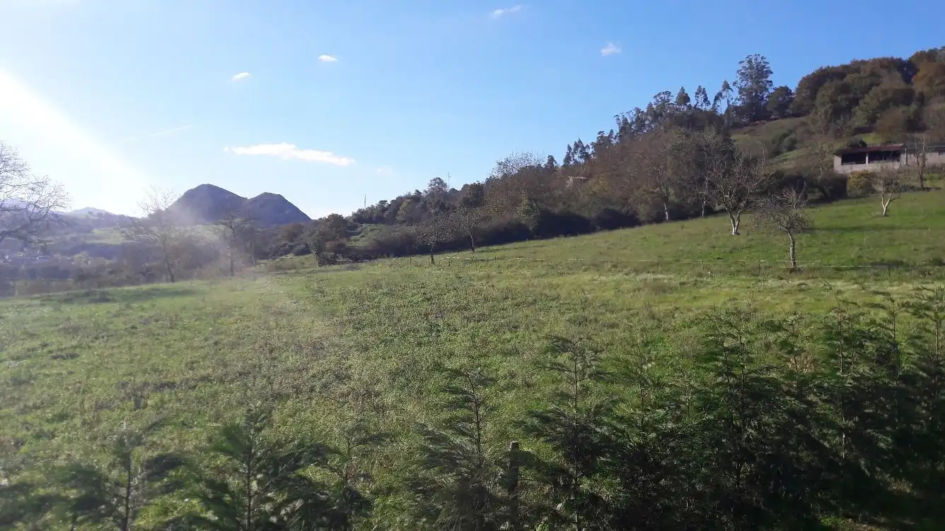 Terrenos y solares en venta en Bode, imagen 13