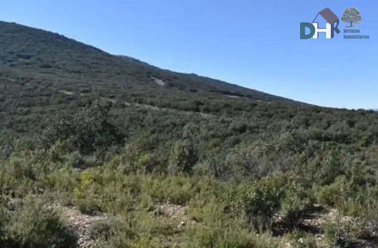 Terrenos y solares en venta en Los Cigarrales - La Bastida, imagen 7