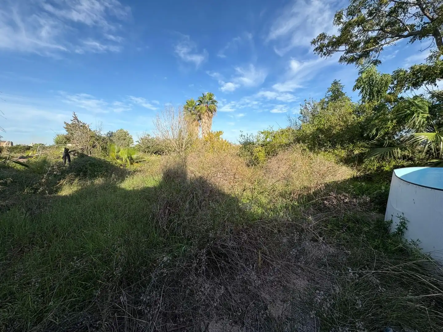 Finca rústica en venta en Sueca con Terraza
