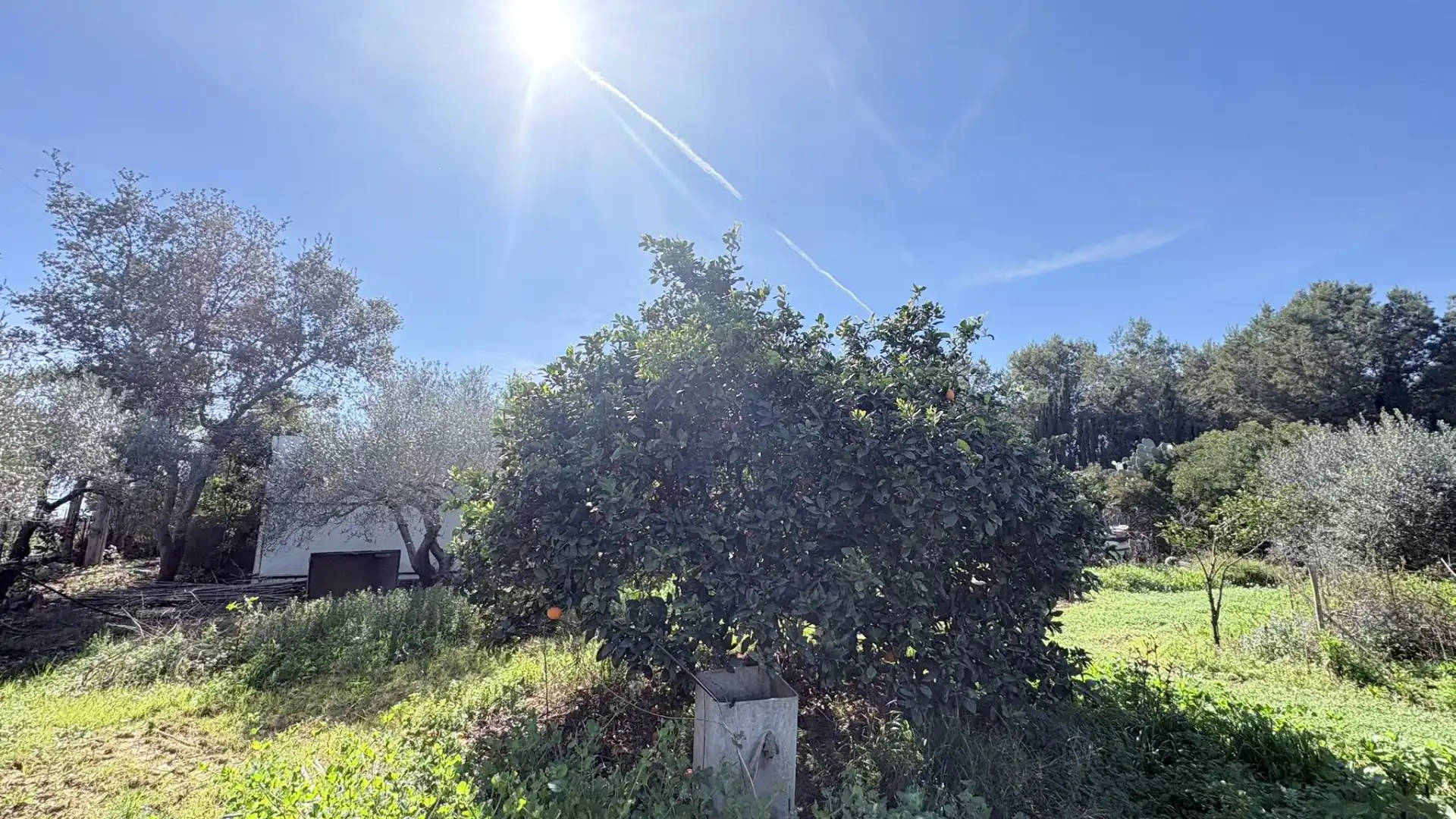 Land for sale in Vilanova i la Geltrú