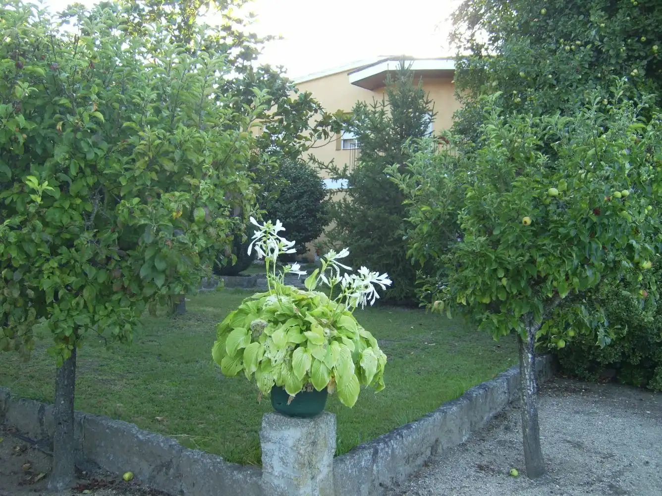 Haus zum Verkauf in Rúa Gabino Bugallal, imagen 62