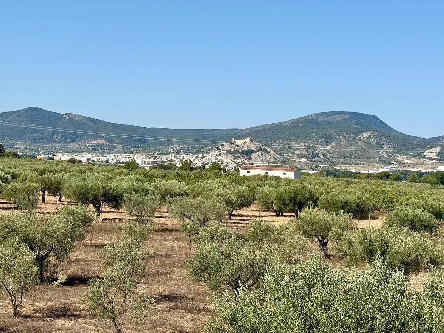 Maison à vendre à Onil, imagen 23