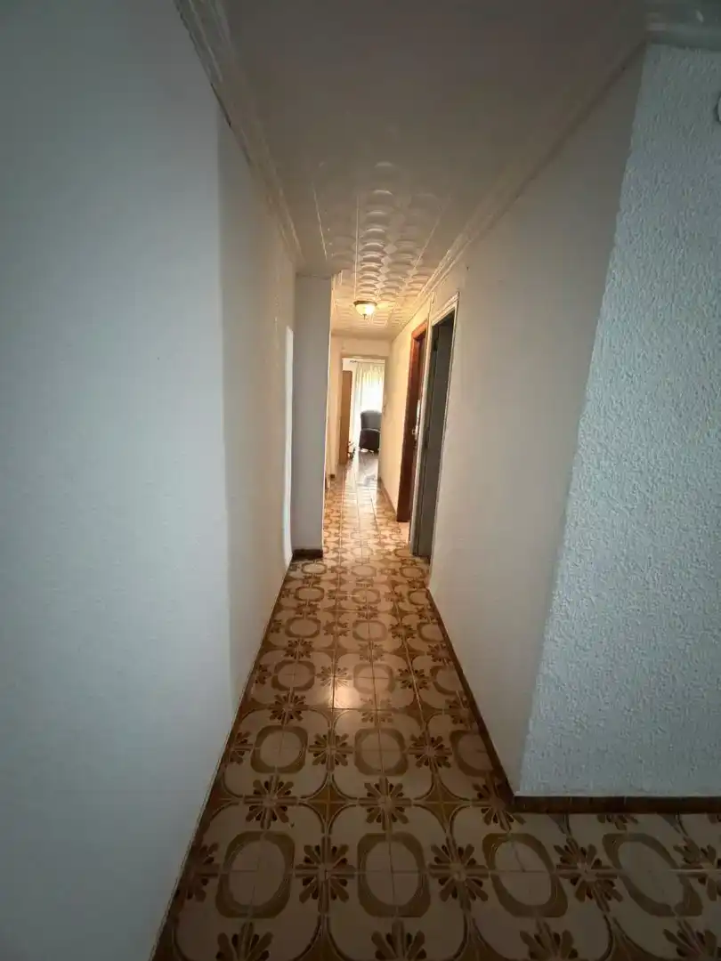 Pis de lloguer en Elche ciudad