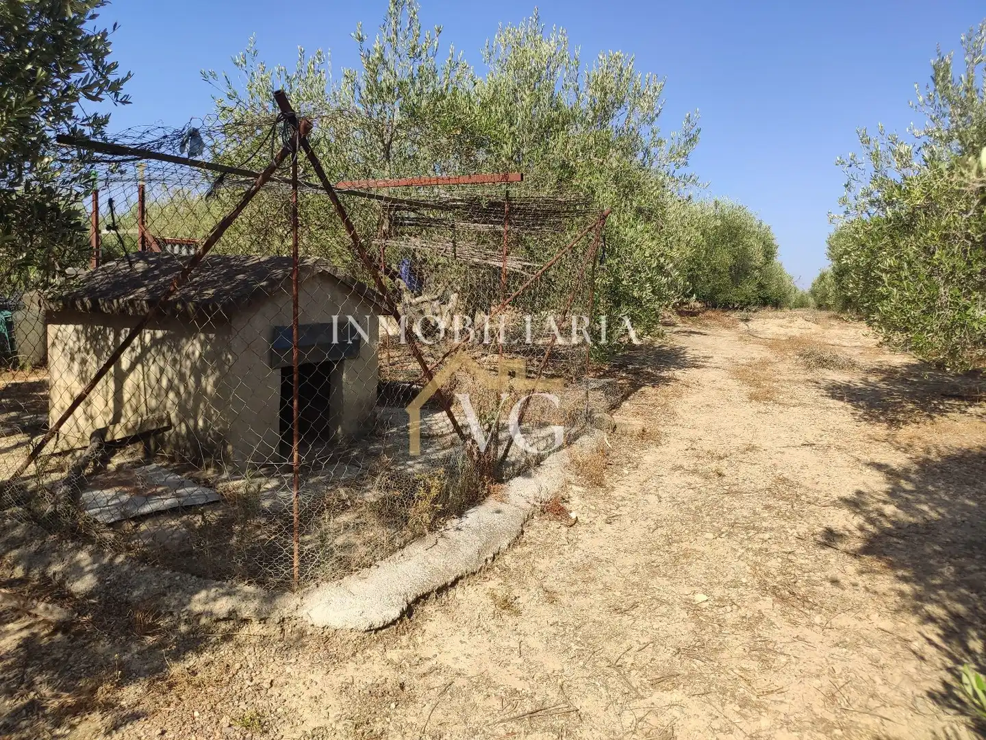 Rural land for sale in Guillena pueblo, imagen 13