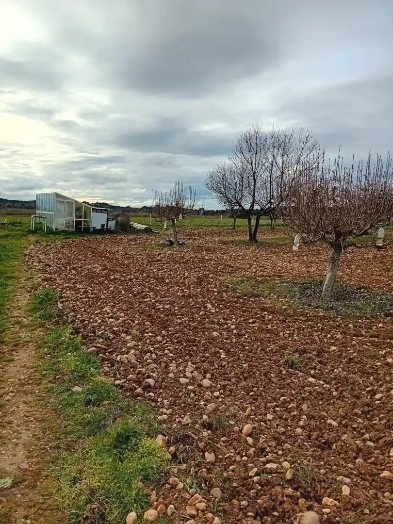 Finca rústica en venta en ZA-P-1509, Villaveza de Valverde