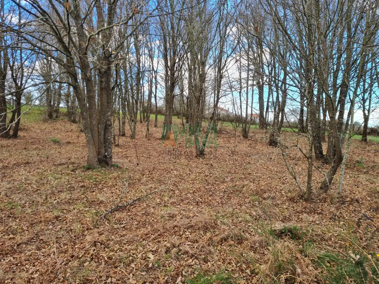 Terreni e lotti in vendita a Carretera de Celanova, imagen 7