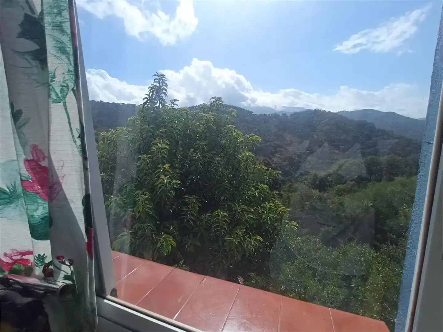 Terrassa de Finca rústica en venda en Genalguacil, Málaga