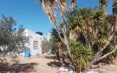 Finca rústica en venda en L'Ampolla