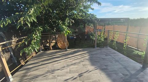 Foto 2 de Finca rústica en venta en Carcaixent, Valencia