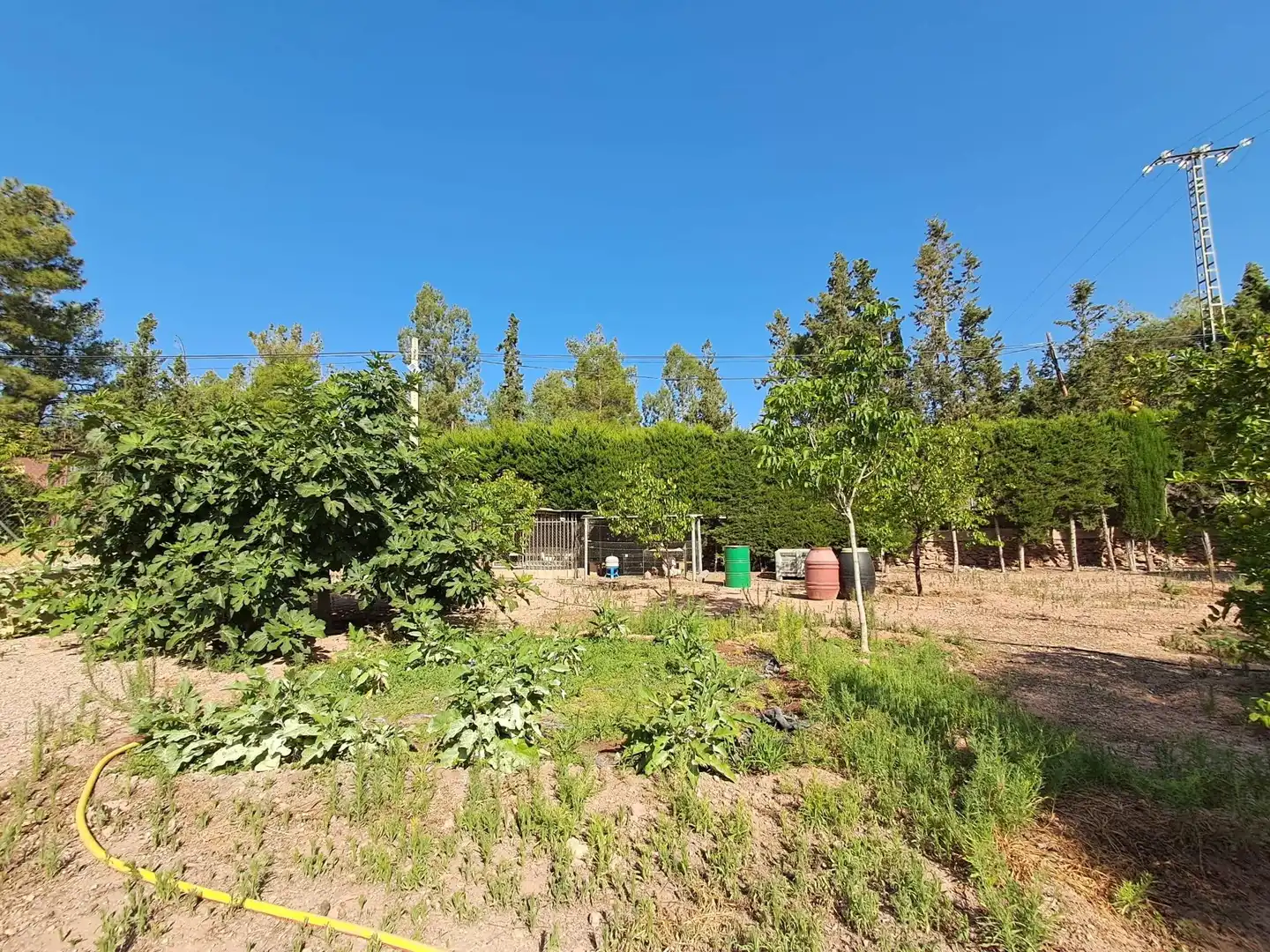 House with pool for sale in Camino DE LOS JABONEROS, imagen 17