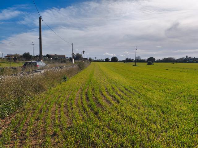 Terreno en Venta en Lloret de Vistalegre