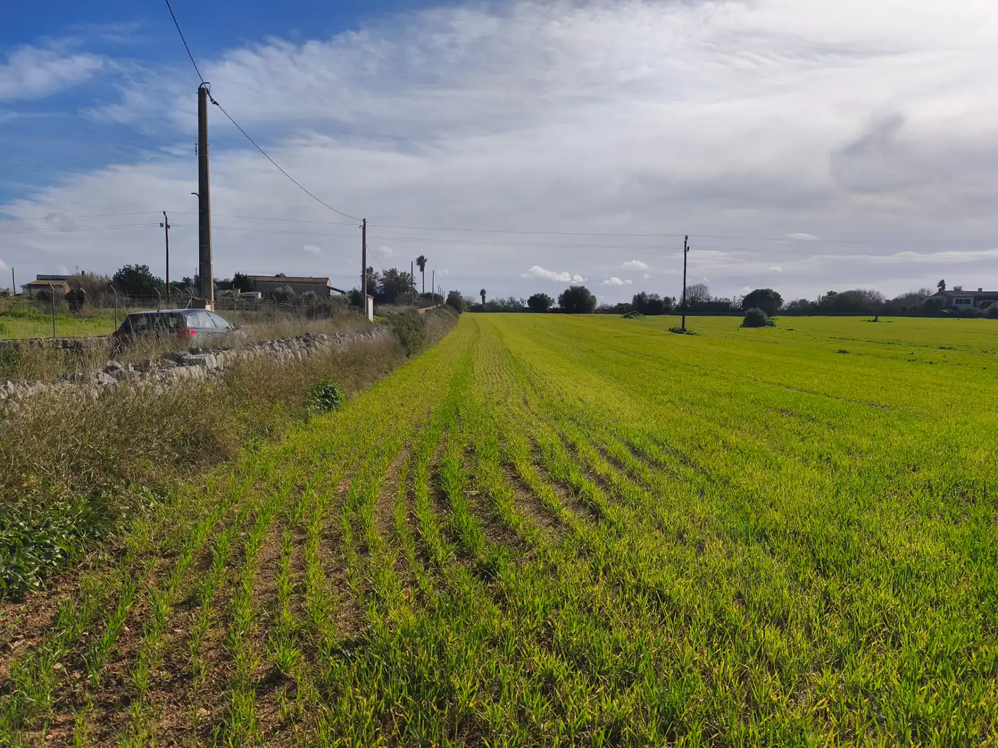Terreno rustico in vendita a Lloret de Vistalegre