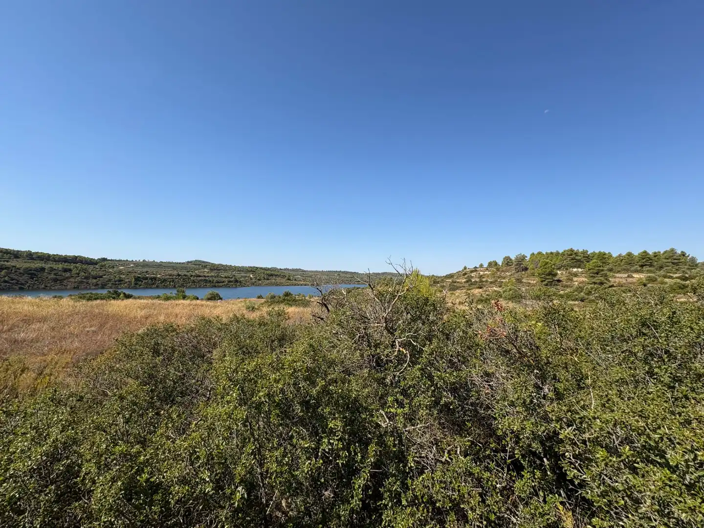 Terreno rustico in vendita a Cervià de Les Garrigues, imagen 40
