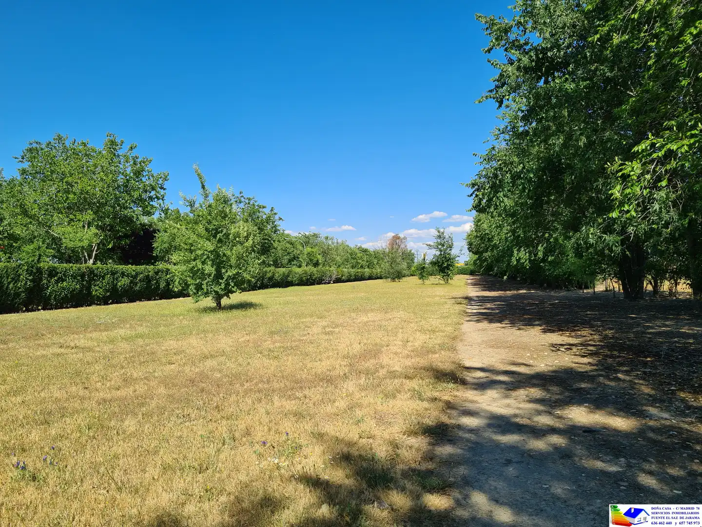 Casa o chalet en venta en Fuente El Saz de Jarama con Aire acondicionado, Calefacción y Jardín privado