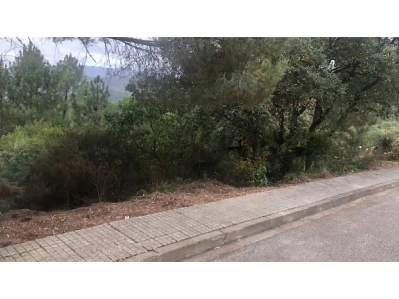 Terreno rústico en venta en Calle GERANIS, imagen 12