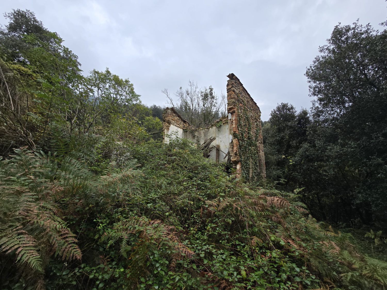 Vista exterior de Finca rústica en venda en Susqueda