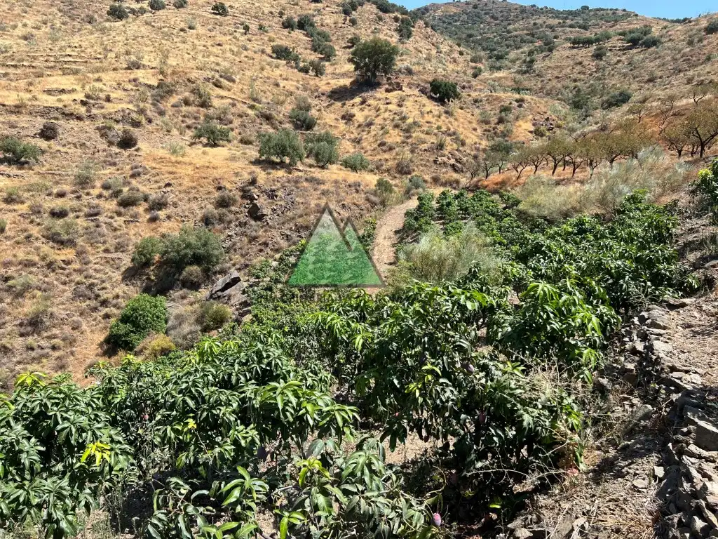Casa rústica en venda a Diseminados Trapiche (Diseminado), imagen 21