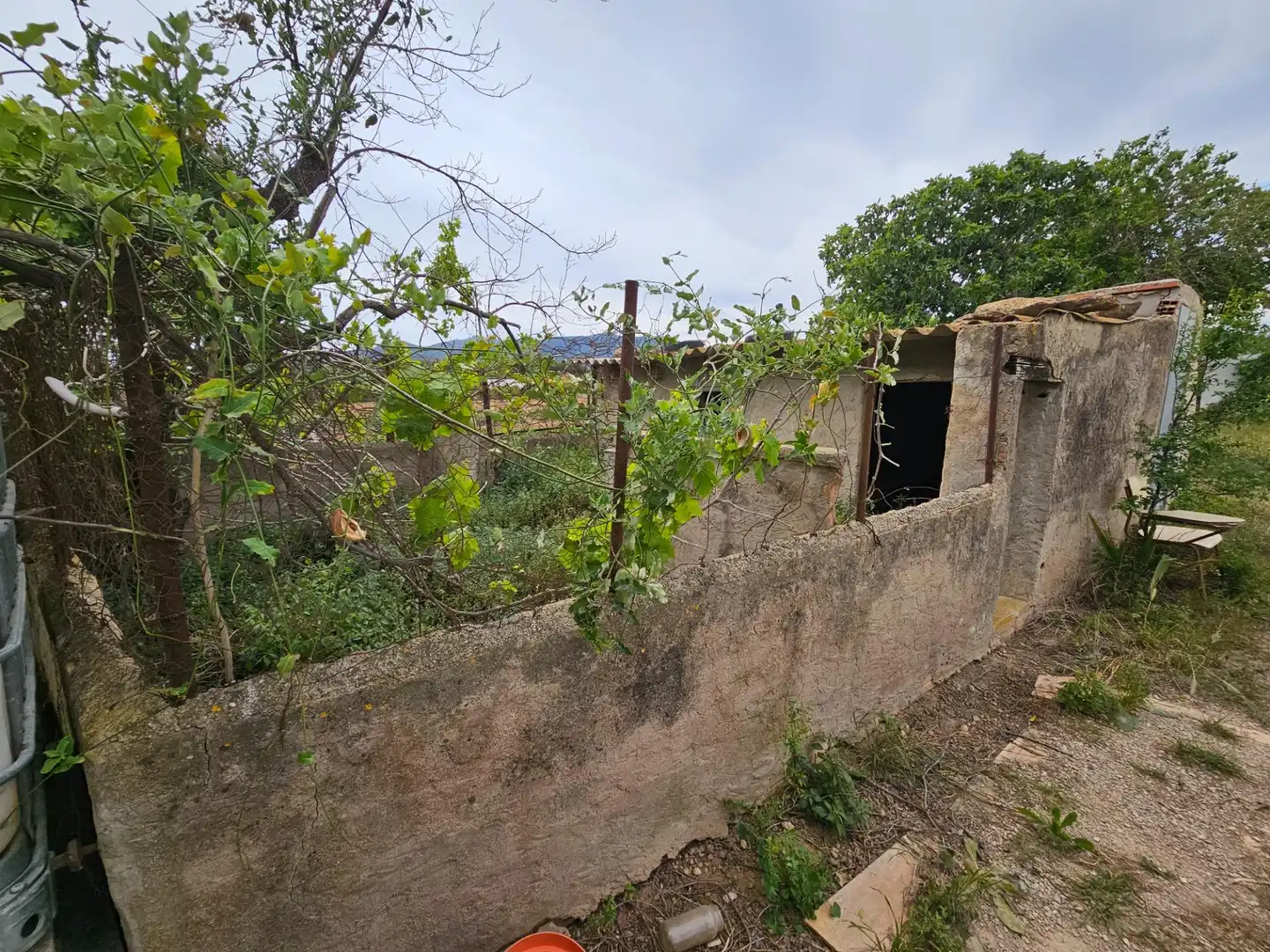 Landhaus zum Verkauf in Eucaliptus- Poble Nou del Delta, imagen 35