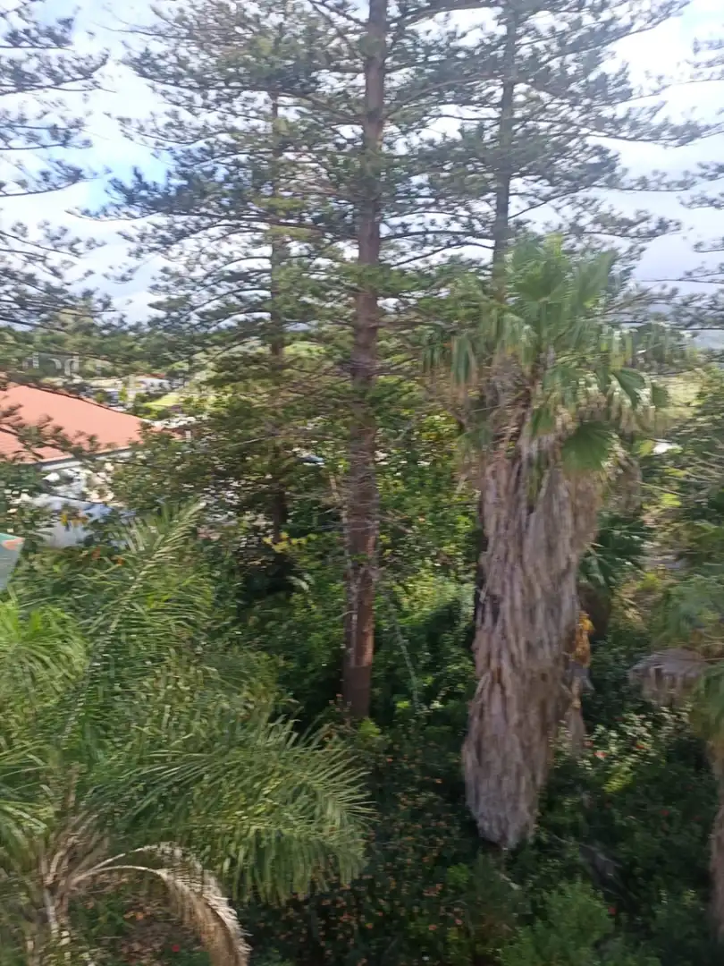 Außenansicht von Residential zur Miete in San Roque