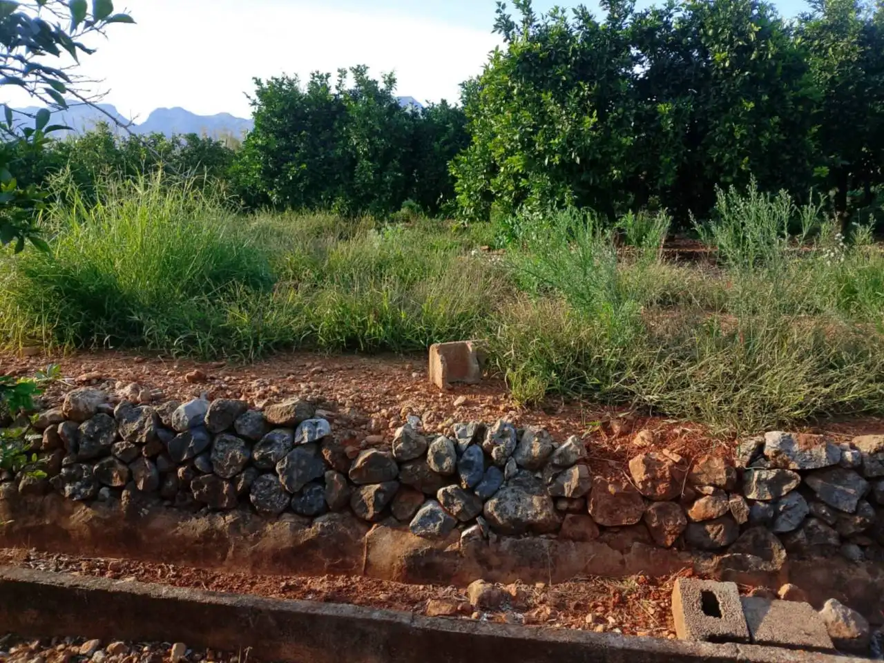 Terreny rústic en venda a Camino Cova Negra 1, imagen 6