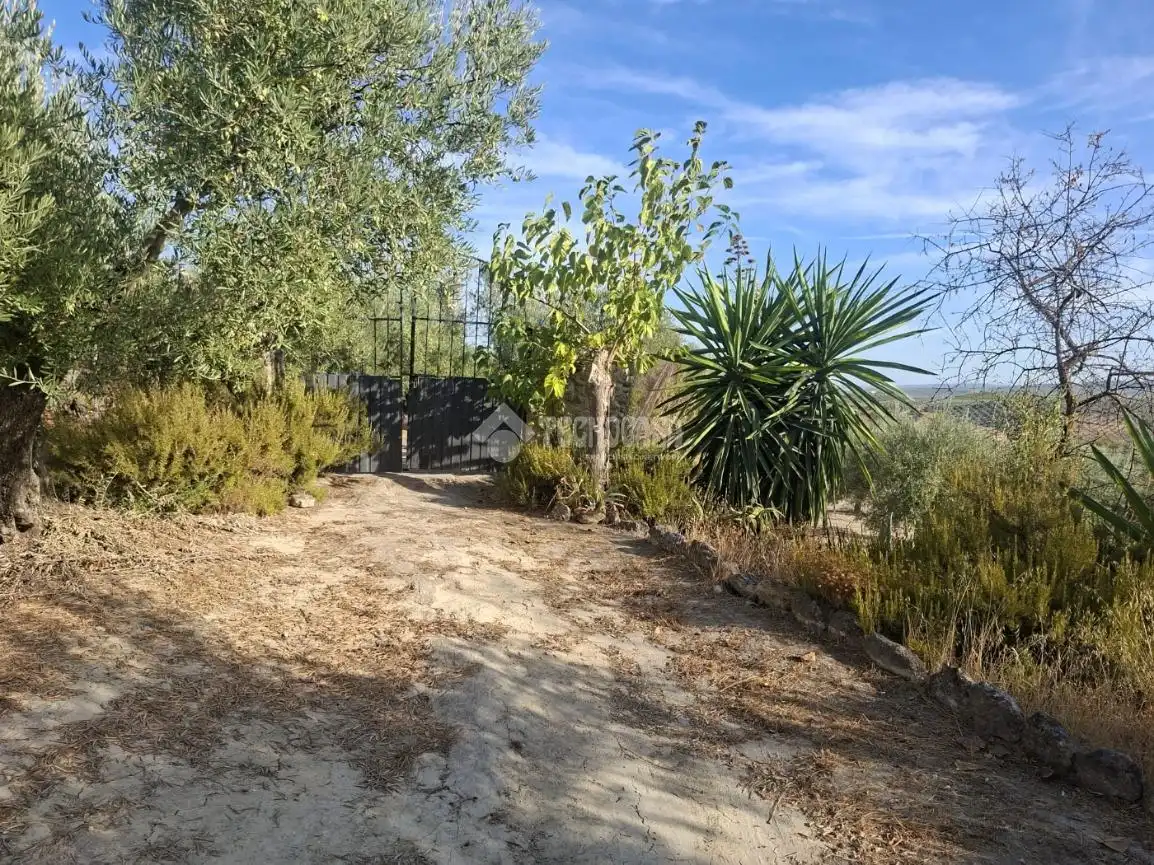 Terreny en venda en Montilla, Córdoba