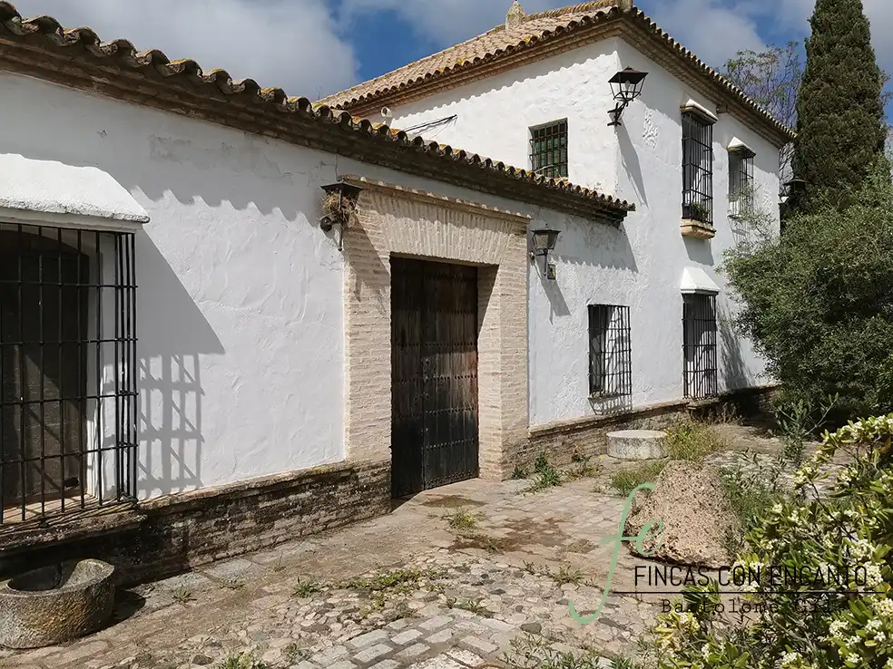 Vista exterior de Finca rústica en venda en Marchena amb Aire condicionat, Terrassa i Piscina