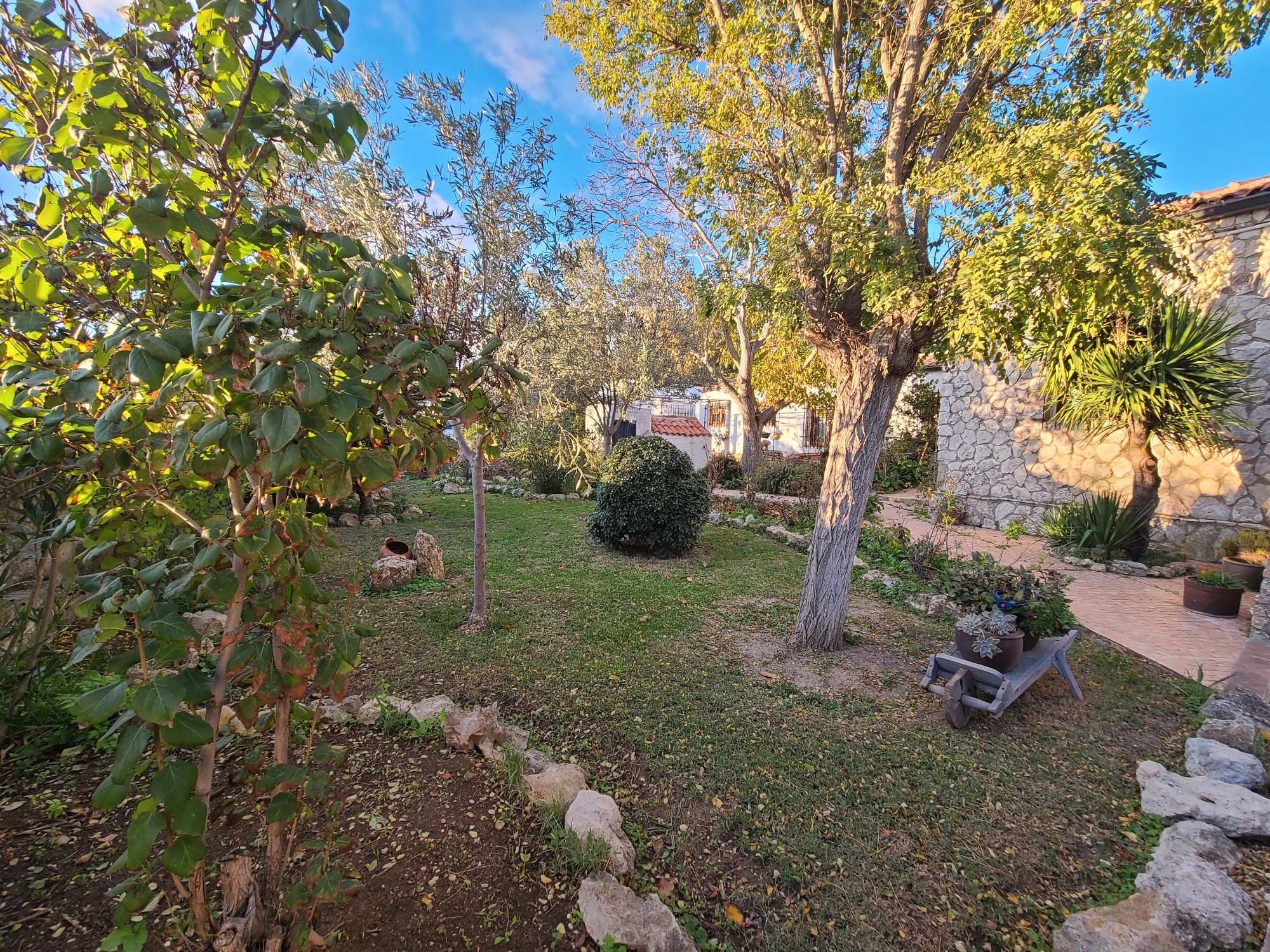 Garden of House or chalet for sale in Valladolid Capital  with Heating, Parquet flooring and Storage room