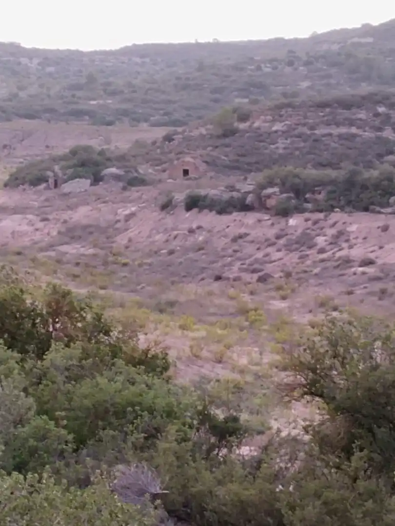 Terreno en venta en L'Albagés