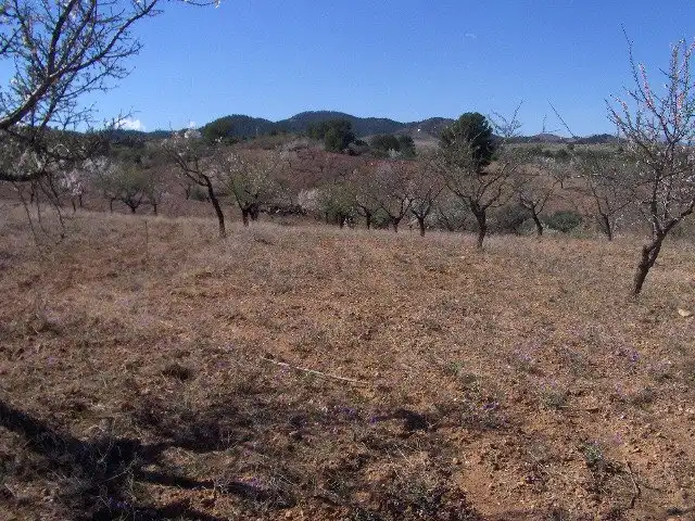 Terreno rustico in vendita a Pedanías Norte, imagen 4