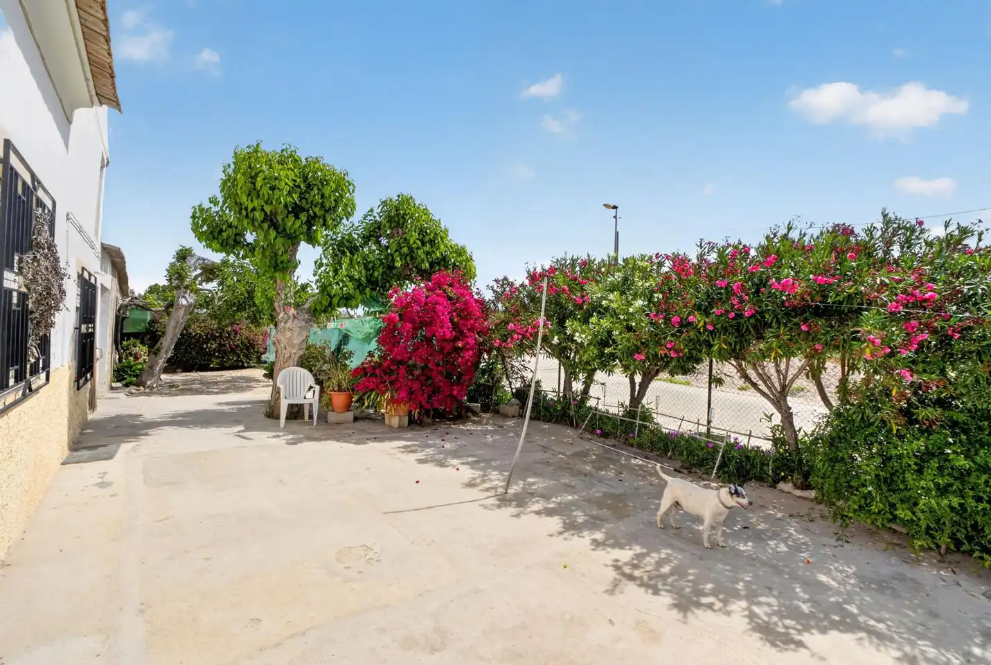Country house for sale in Desamparados - Hurchillo - Torremendo, imagen 16