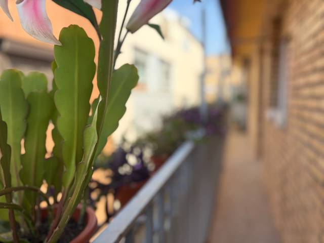 Piso en Venta en Calle Cortés, 2 en San Pedro