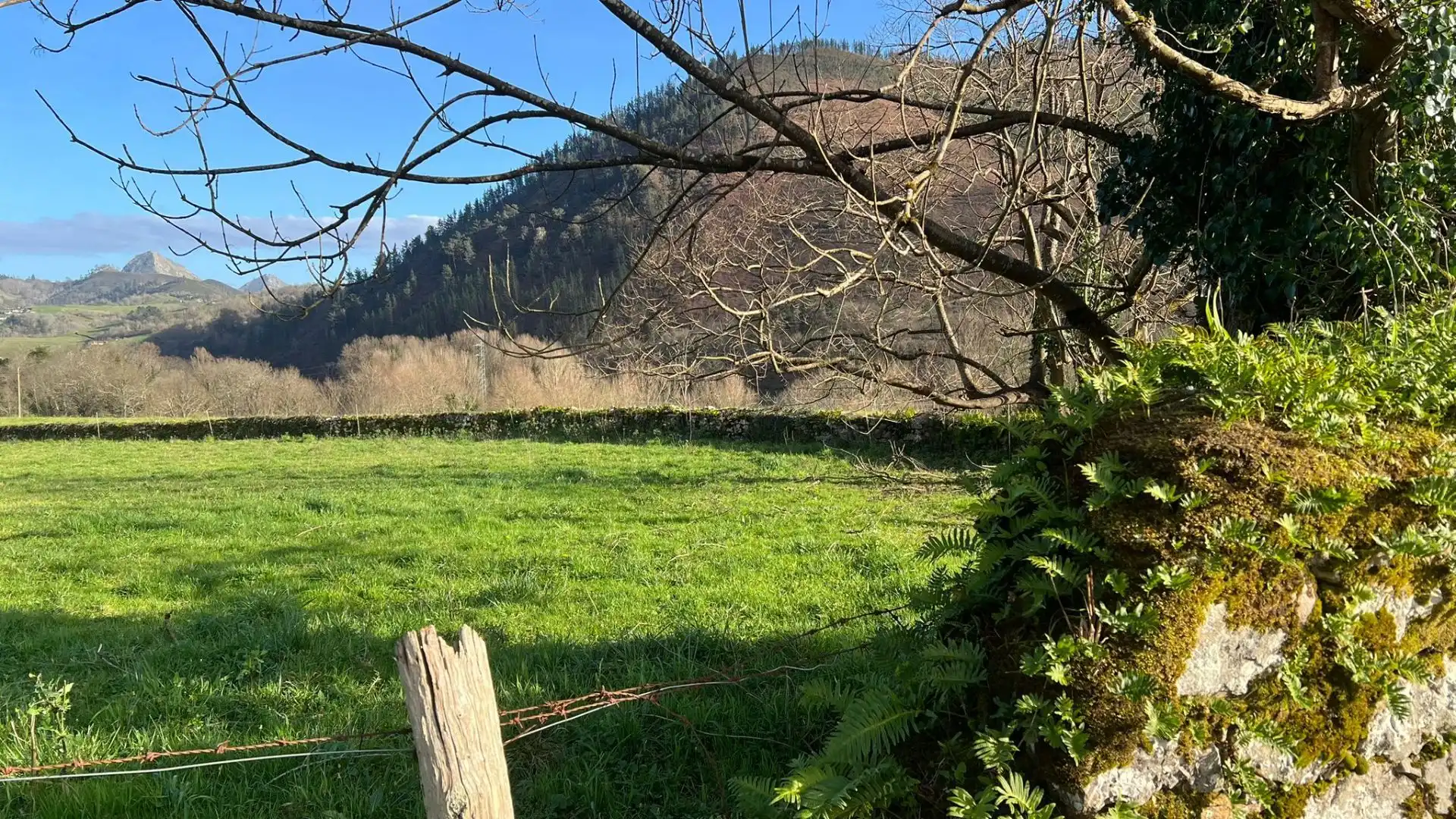 Casa amb jardí en venda a Bode, imagen 19