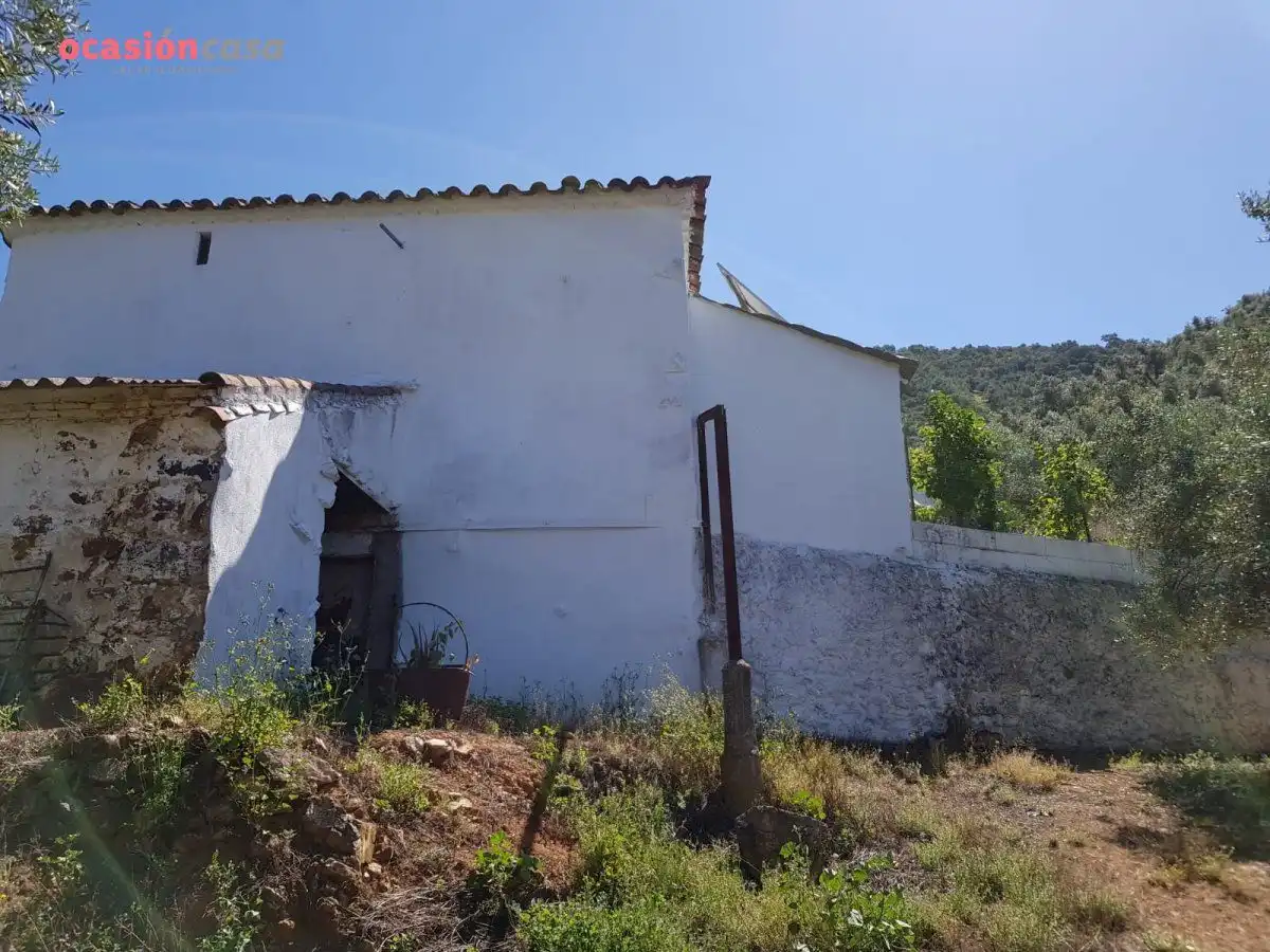 Vista exterior de Finca rústica en venta en Villanueva de Córdoba con Jardín privado, Trastero y Amueblado