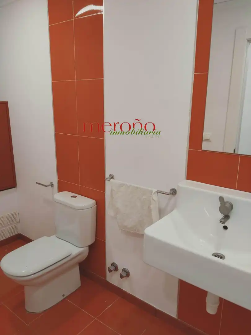 Bany de Local en venda en Elche / Elx