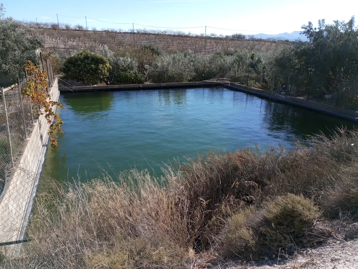 Piscina de Casa o chalet en venta en Purchena con Amueblado