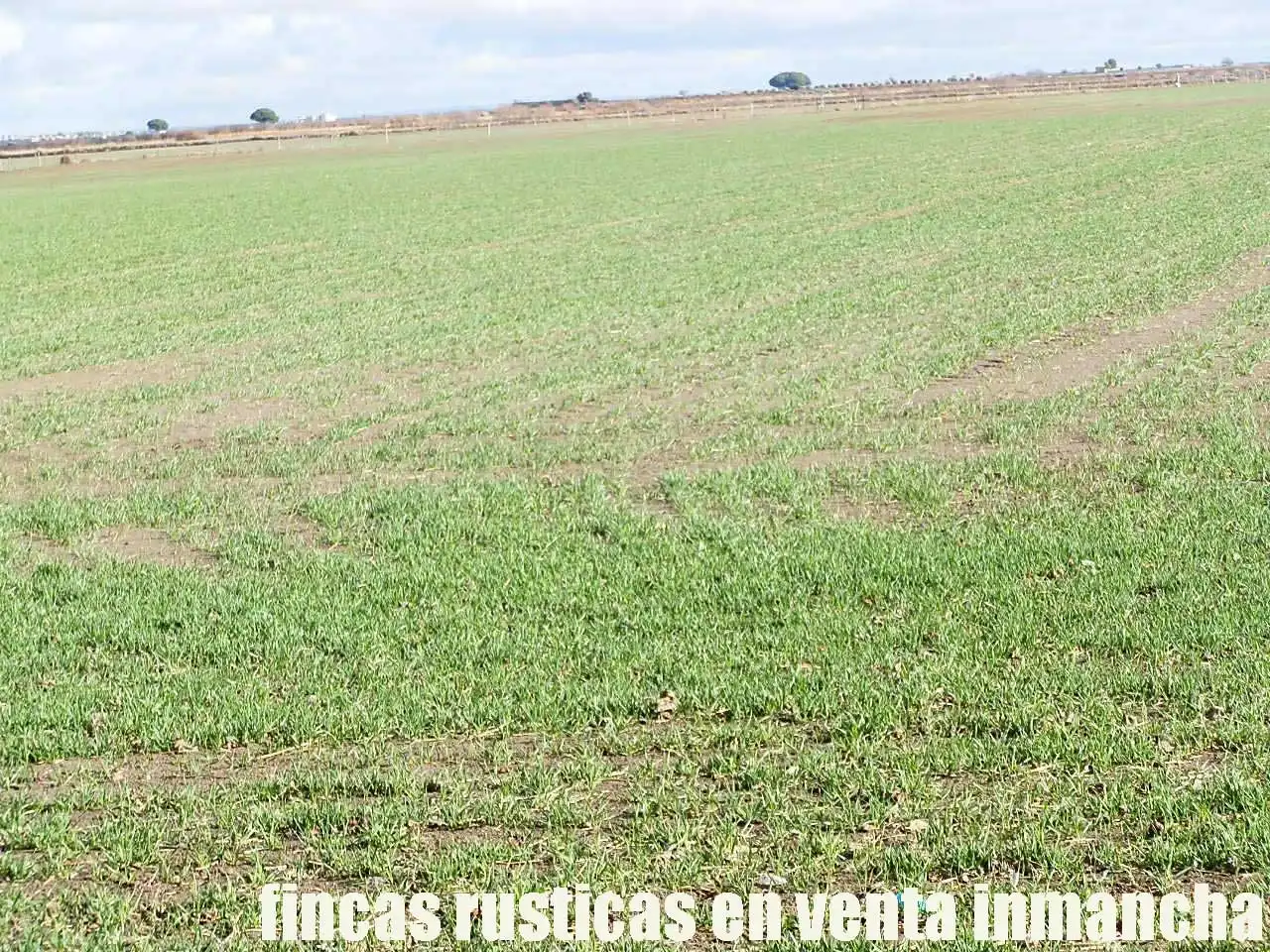 Terreni e lotti in vendita a Las Mesas, imagen 10